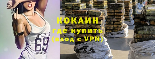 кокс Дмитриев