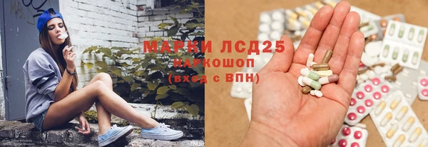 кокс Дмитриев